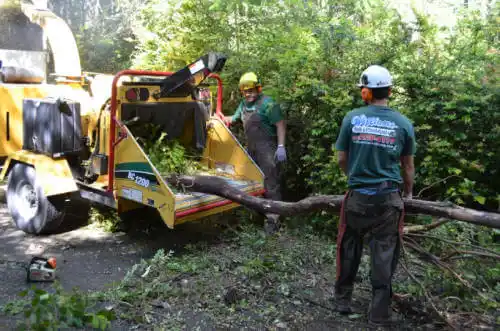 tree services Patagonia